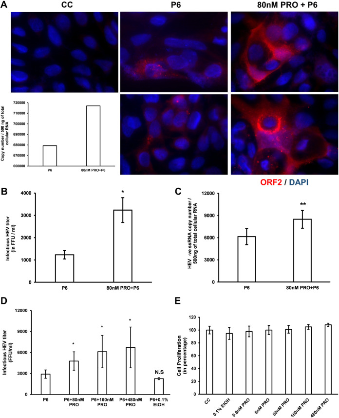 FIG 3