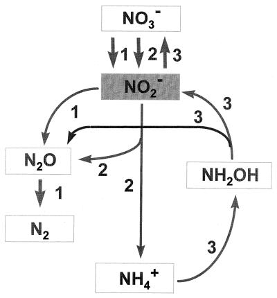 FIG. 1