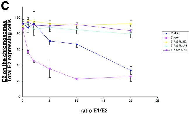 FIG. 5.