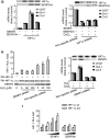 Figure 4b