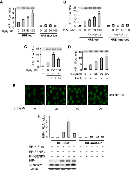 Figure 4a