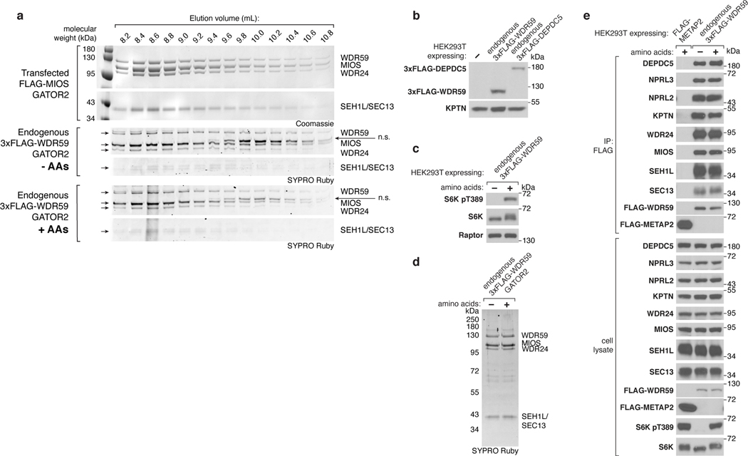 Extended Data Figure 1: