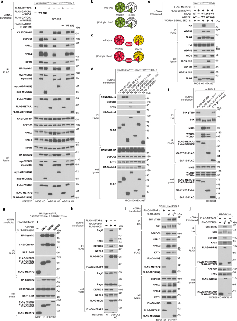 Extended Data Figure 12: