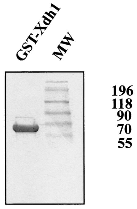 FIG. 5.