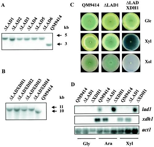 FIG. 7.