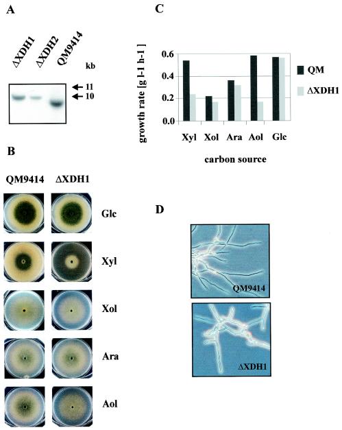 FIG. 6.