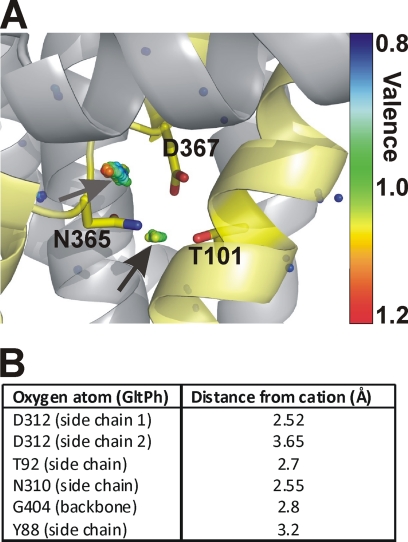 FIGURE 9.