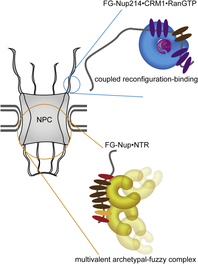 Figure 7