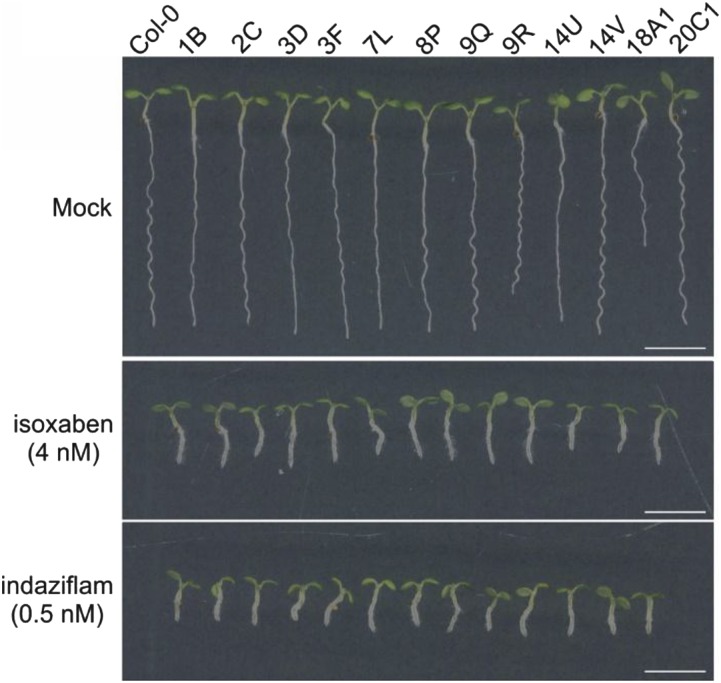 Figure 2.