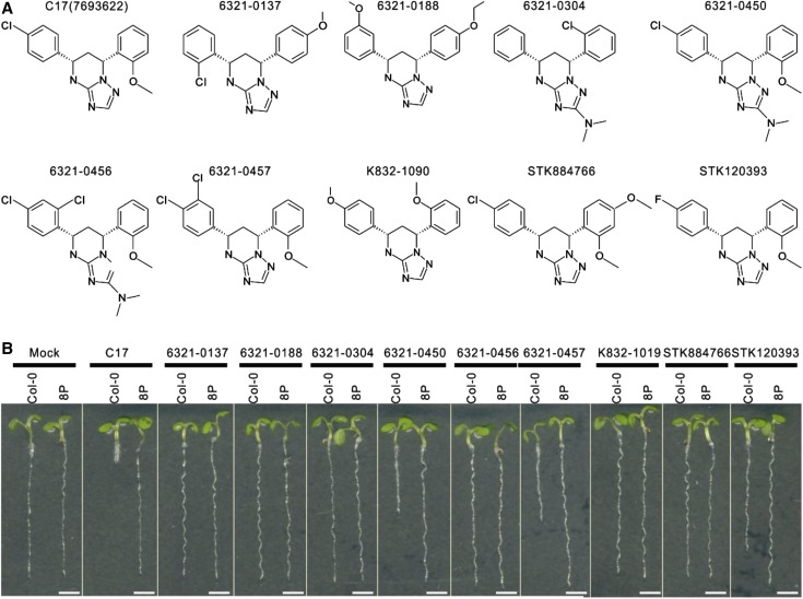 Figure 5.