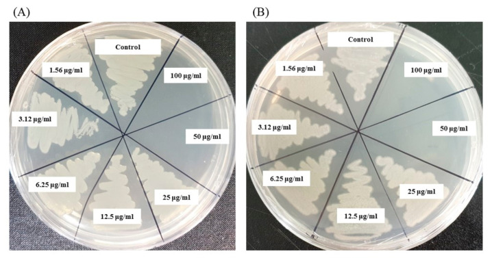 Figure 10