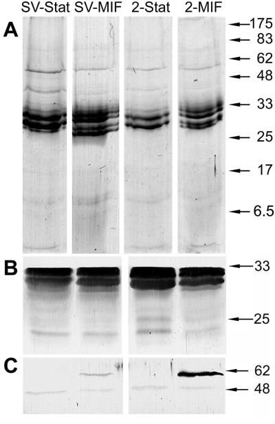 FIG. 5.