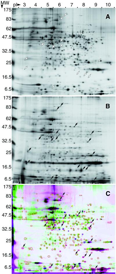 FIG. 6.