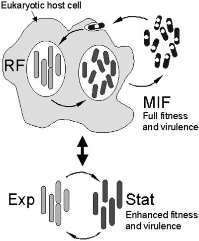 FIG. 7.