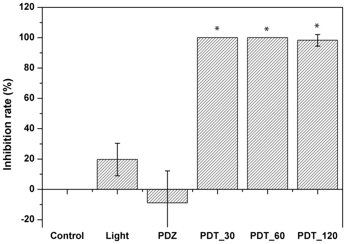 Figure 7