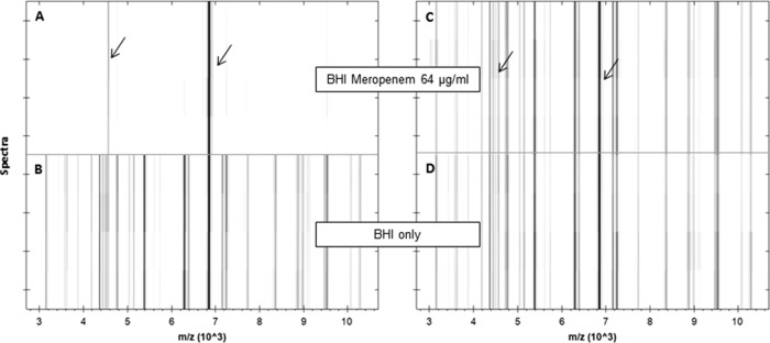 FIG 1