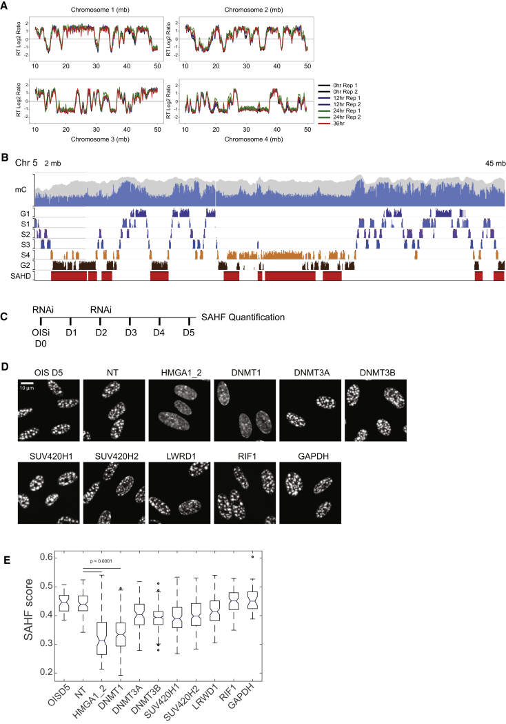 Figure 4