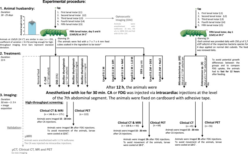 Fig. 10