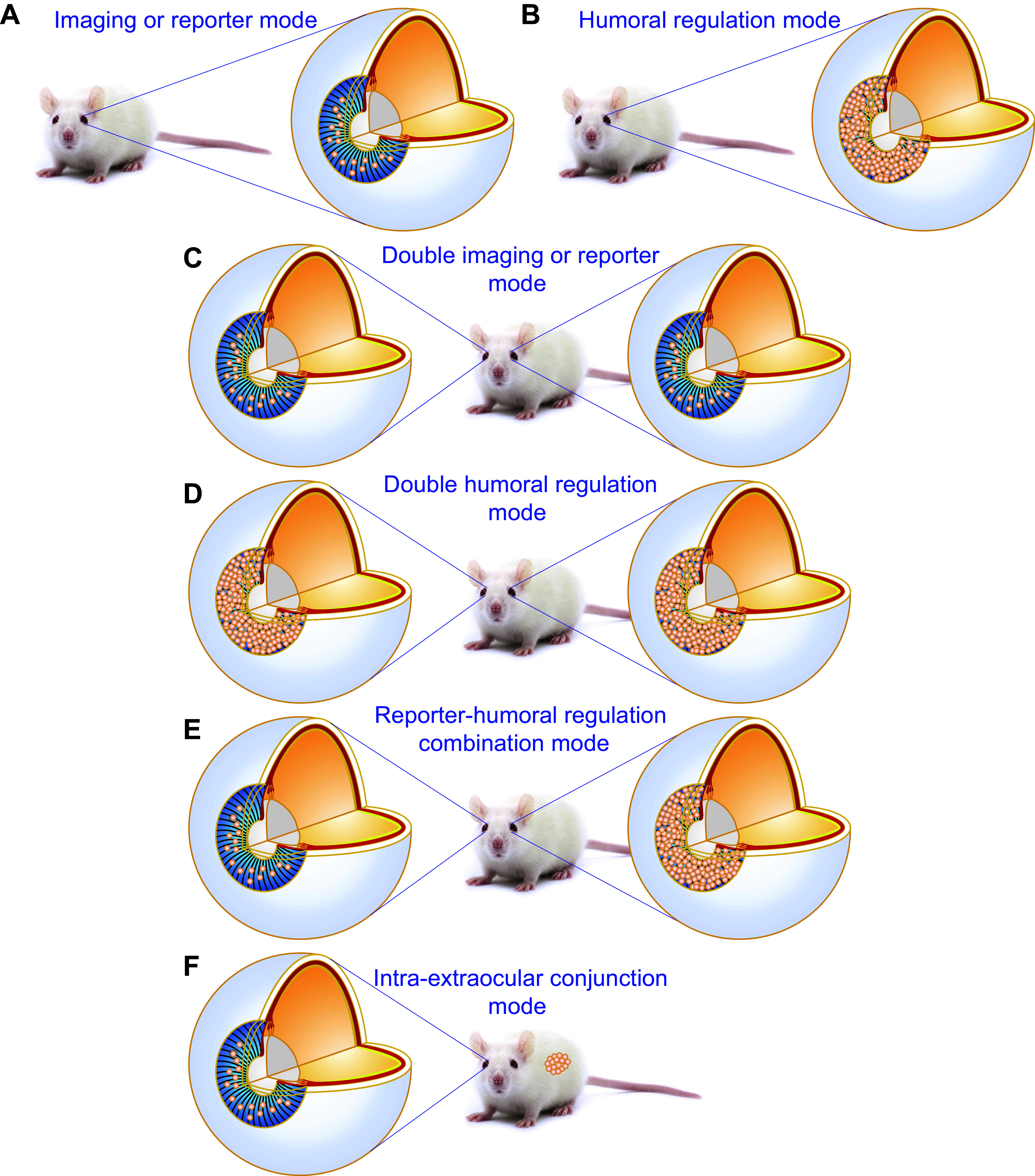 FIGURE 9.