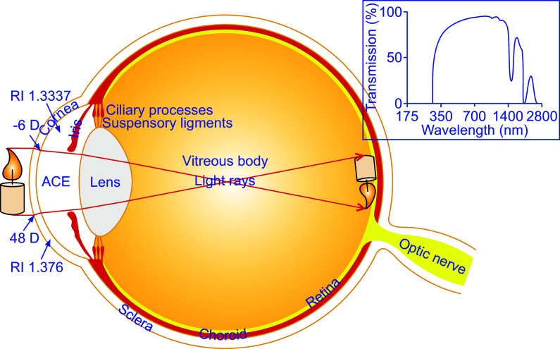 FIGURE 2.