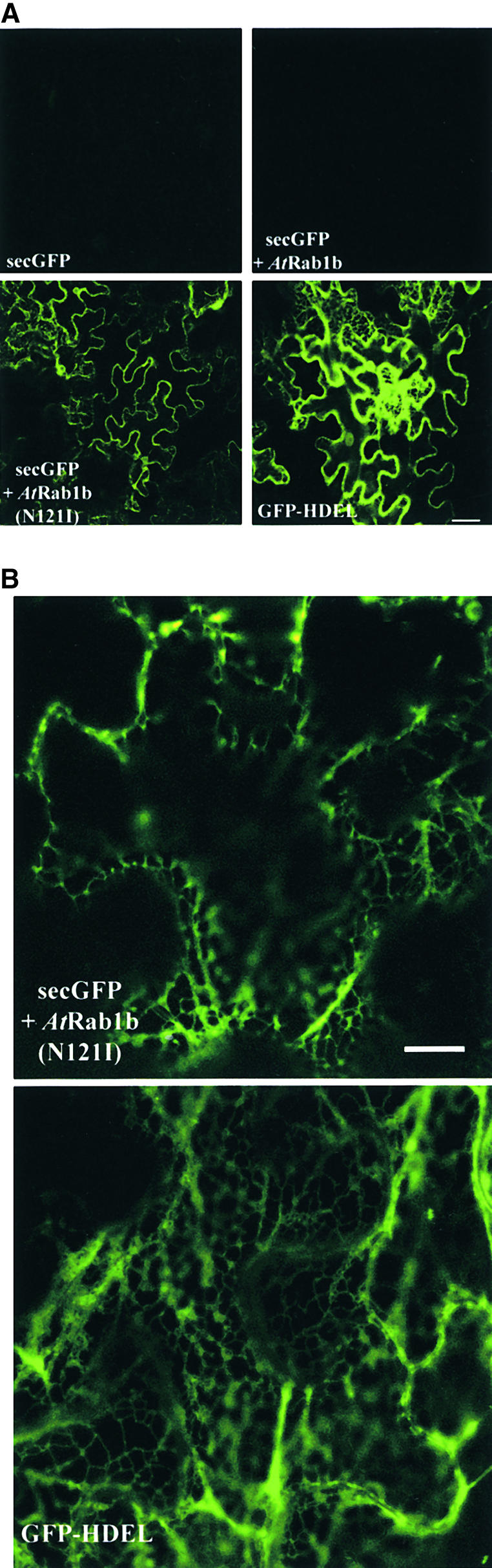 Figure 4.