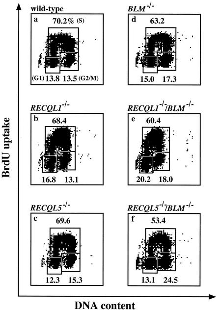 FIG. 3.