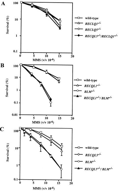 FIG. 5.