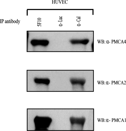 Figure 6