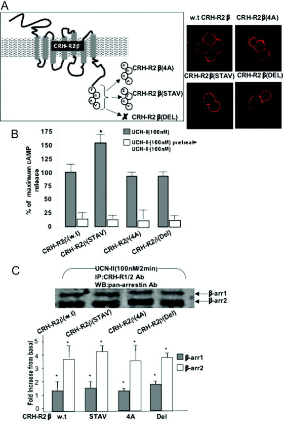 Fig. 11.