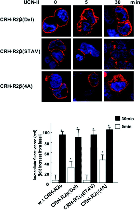 Fig. 12.