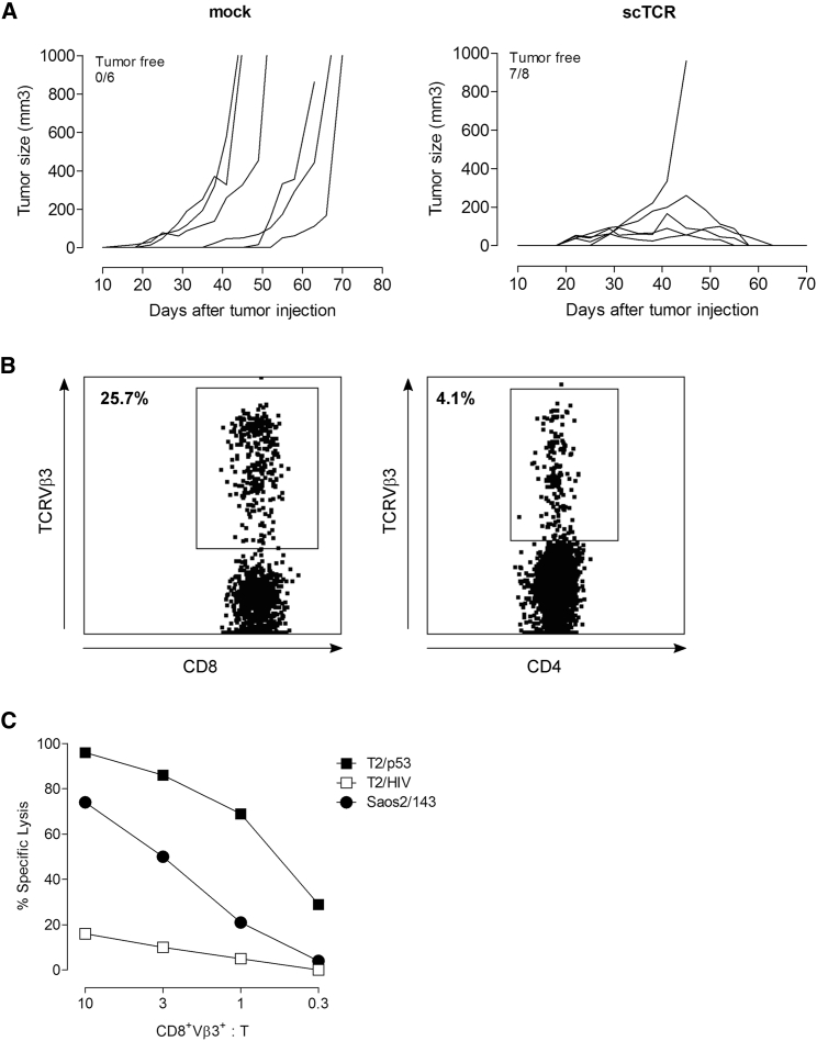 Figure 6