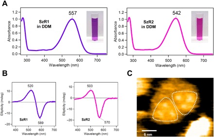 Fig. 3