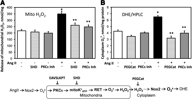 FIG. 7.