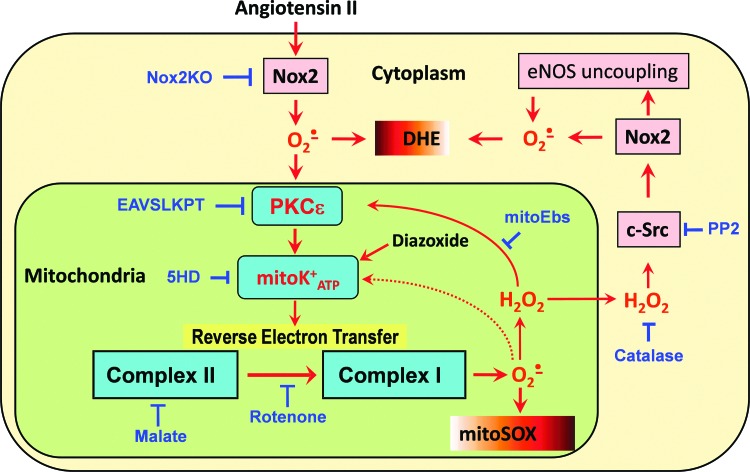 FIG. 11.