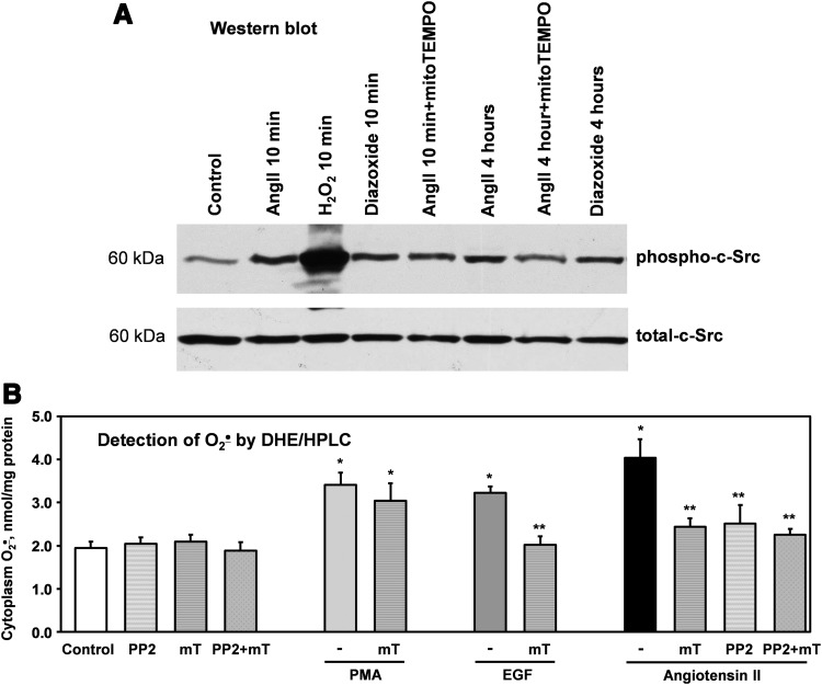 FIG. 9.