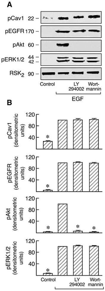 Fig. 10.