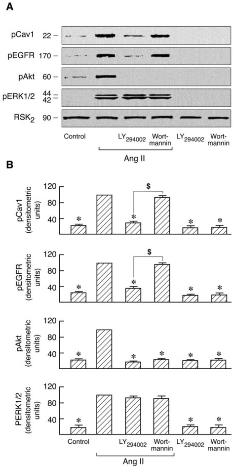 Fig. 9.