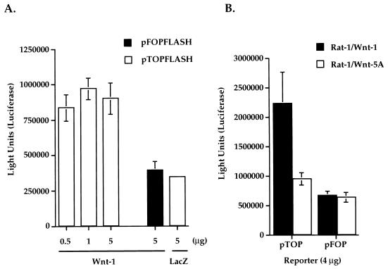 FIG. 6