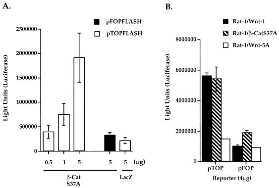 FIG. 9