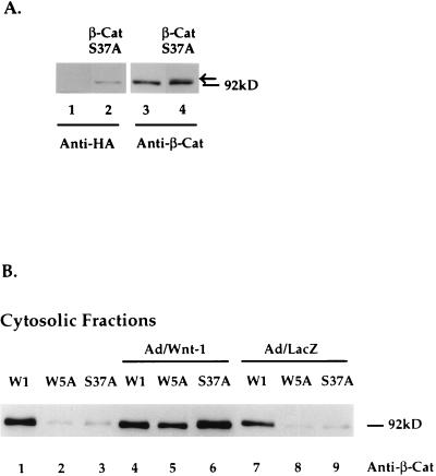 FIG. 7