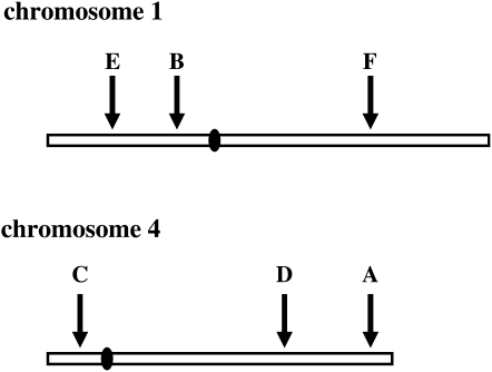 Figure 1.—