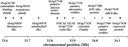 Figure 2.—