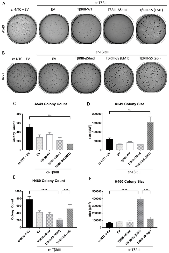 Figure 5: