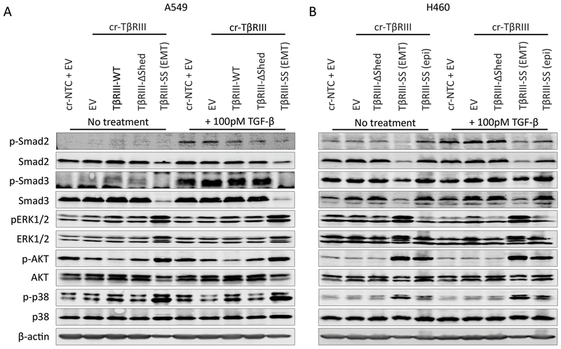 Figure 7: