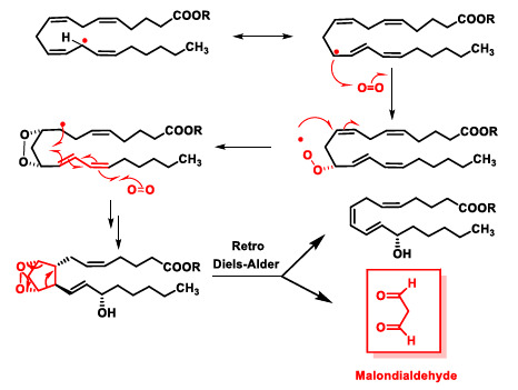 Figure 14