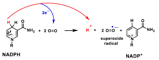 Figure 17