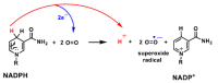 Figure 17