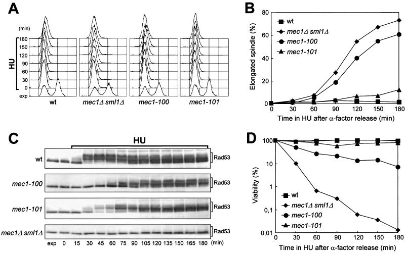 FIG. 7