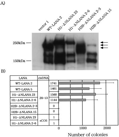 FIG. 8.