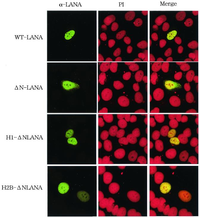 FIG. 6.